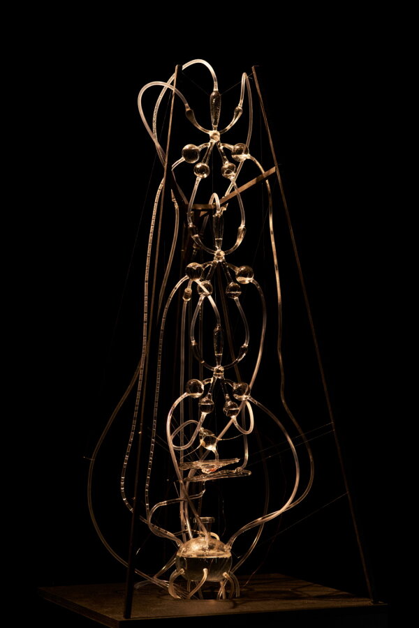 Ioana Vreme Moser, Tekutá paměť, foto Polina Davydenko